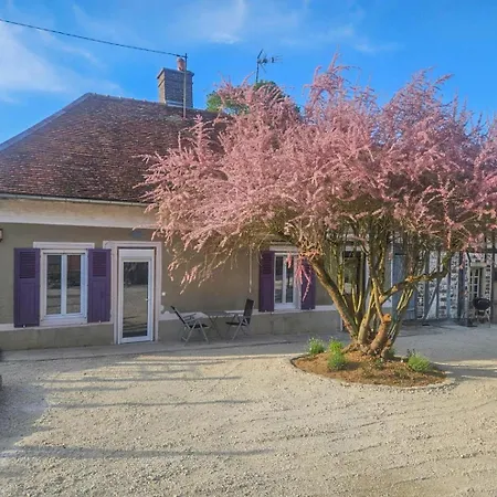 Chez Nenette